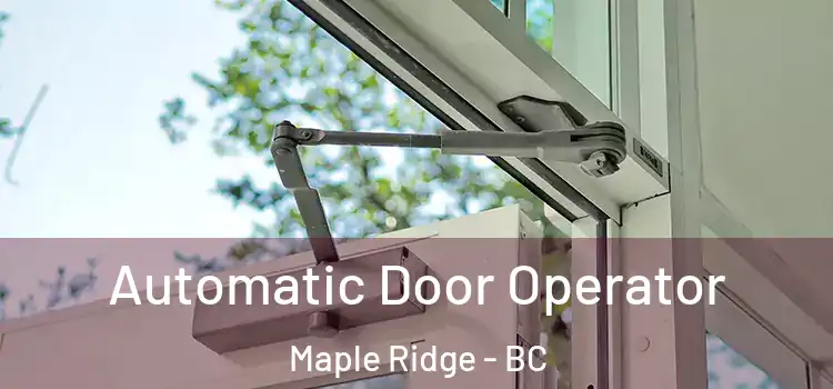 Automatic Door Operator Maple Ridge - BC