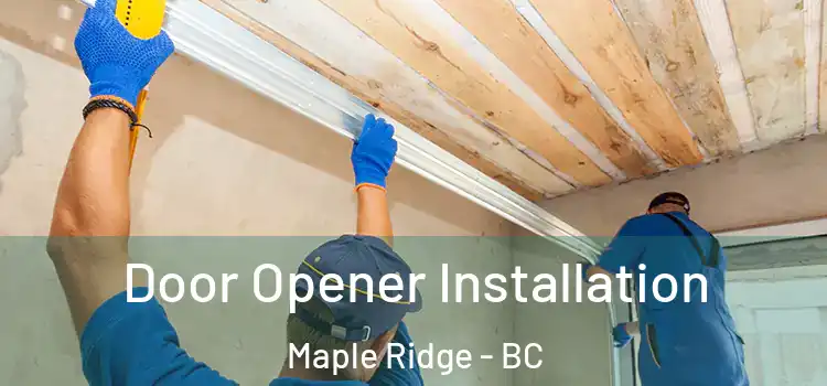 Door Opener Installation Maple Ridge - BC