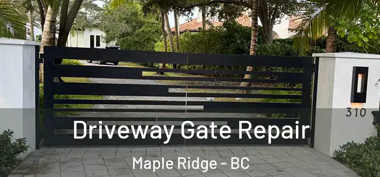 Driveway Gate Repair Maple Ridge - BC