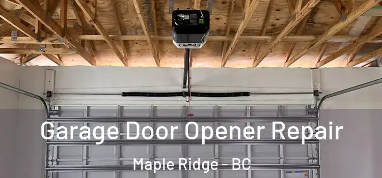  Garage Door Opener Repair Maple Ridge - BC