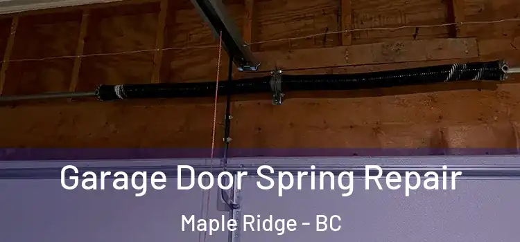  Garage Door Spring Repair Maple Ridge - BC