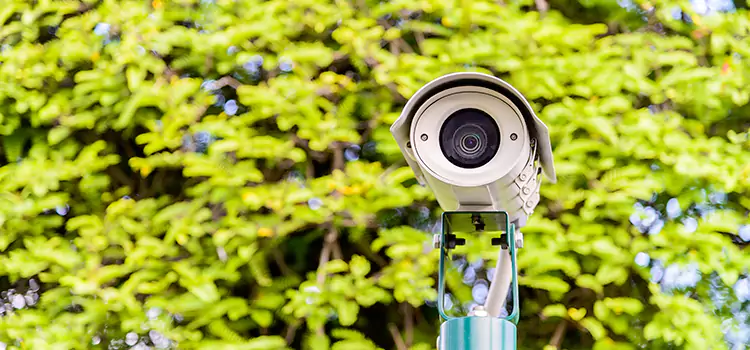 Advanced Surveillance Solutions for Every Need in Maple Ridge