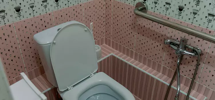 Meeting Diverse Needs With Accessible Restroom Solutions in Maple Ridge, BC