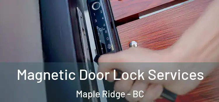 Magnetic Door Lock Services Maple Ridge - BC
