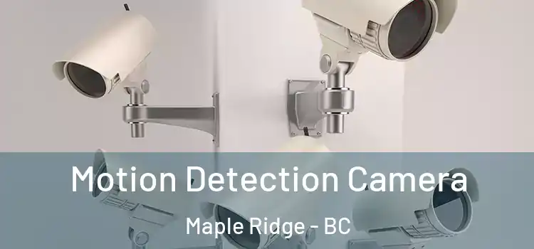  Motion Detection Camera Maple Ridge - BC