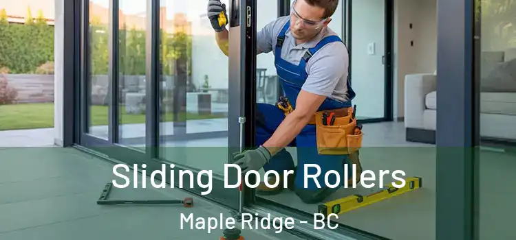 Sliding Door Rollers Maple Ridge - BC