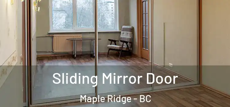  Sliding Mirror Door Maple Ridge - BC